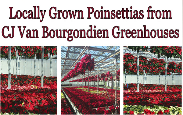 Welcome To Van Bourgonn Nursery Click Here To Read More