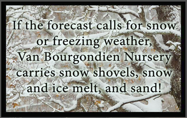 Welcome To Van Bourgonn Nursery Click Here To Read More