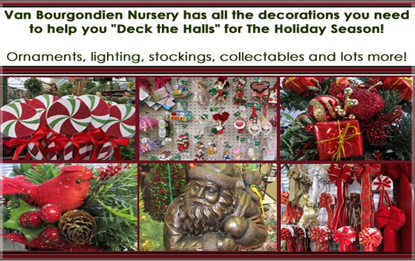 Welcome To Van Bourgonn Nursery Click Here To Read More