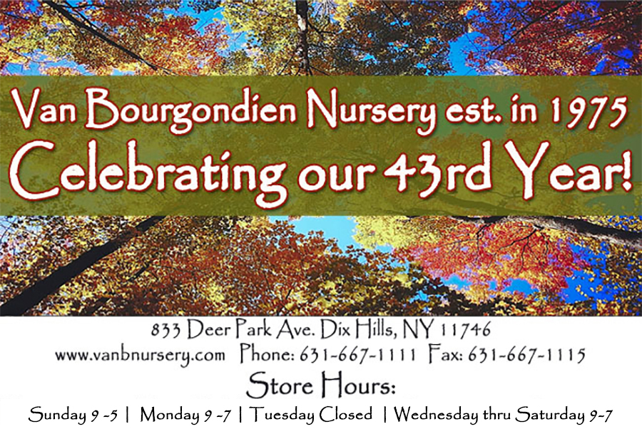 Welcome To Van Bourgonn Nursery