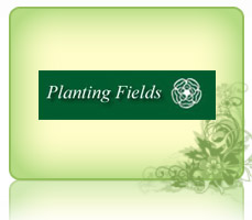 Planting Fields