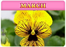 March