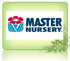 Mater Nursery