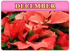 December