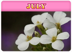 July