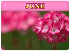 June