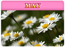 May